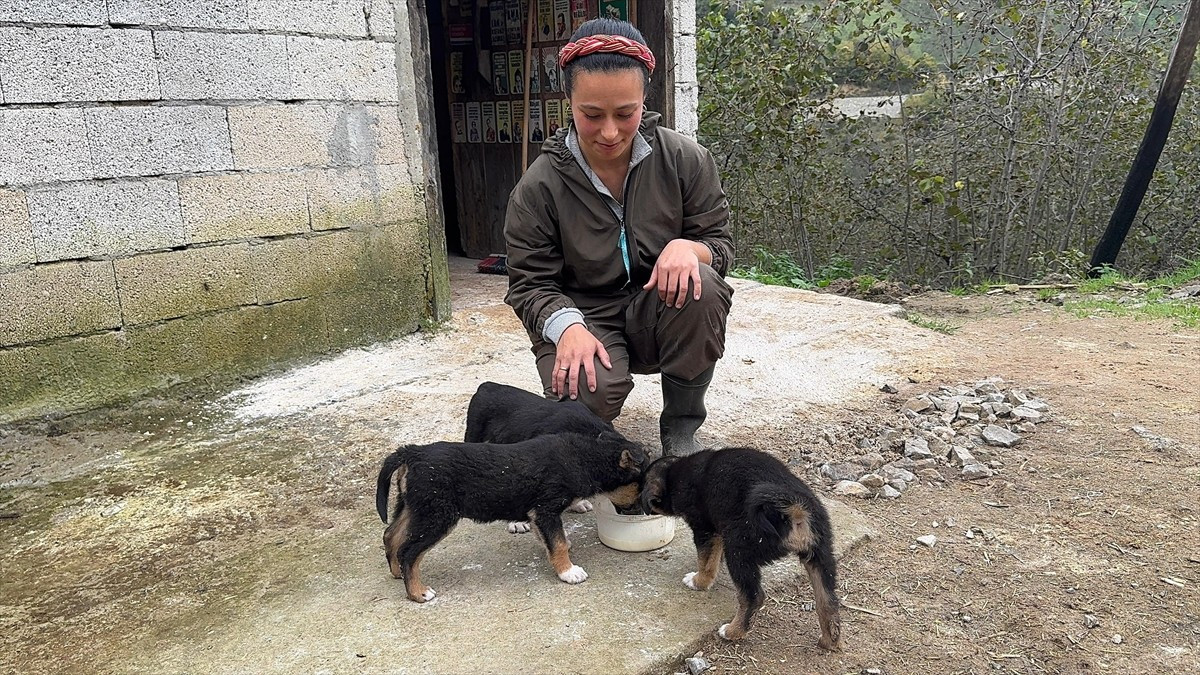  İstanbul'dan iki yıl önce memleketi Giresun'a dönen Esma Nur ve Harun Sarıaydın çifti, devlet...