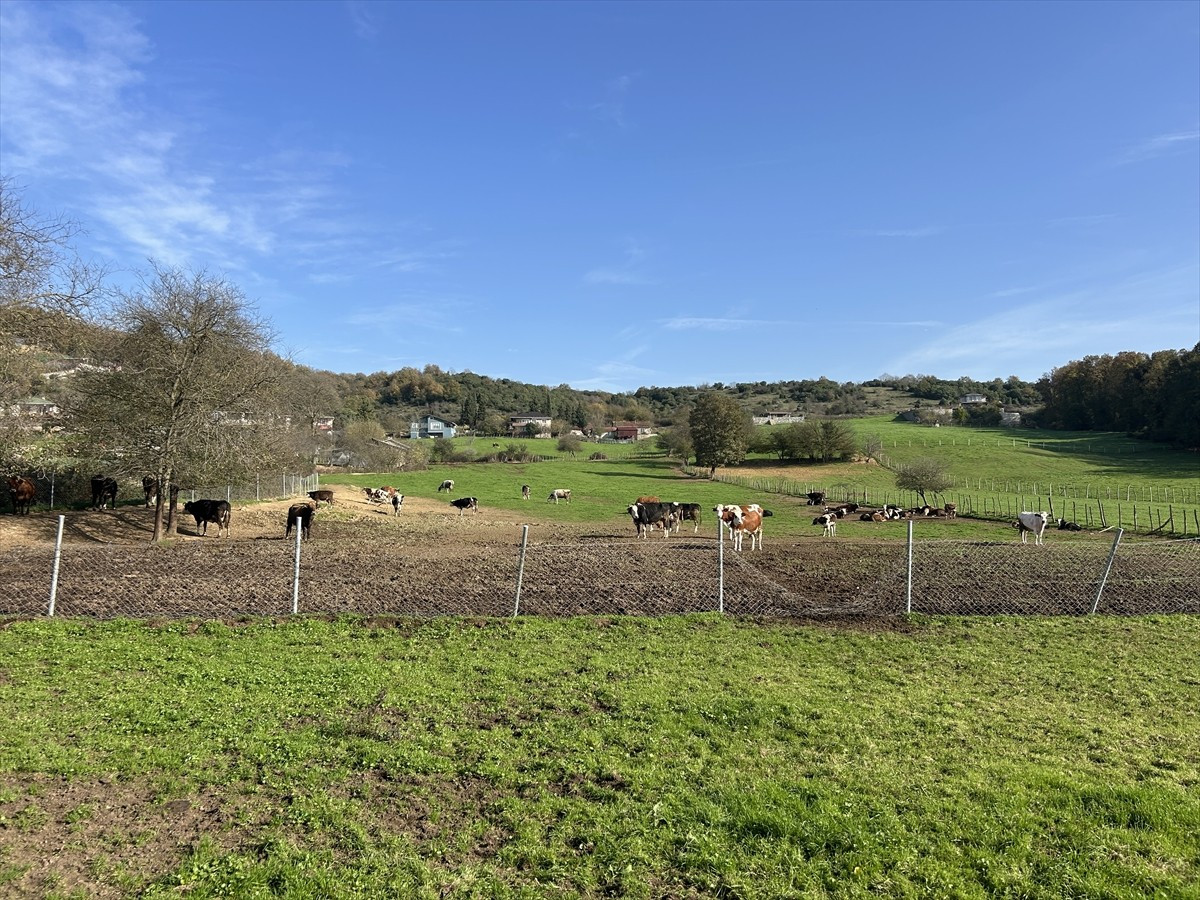İstanbul'un Beykoz ilçesinde, Trabzon'dan gelenlerin yaşadığı İshaklı Mahallesi'nde sokak...