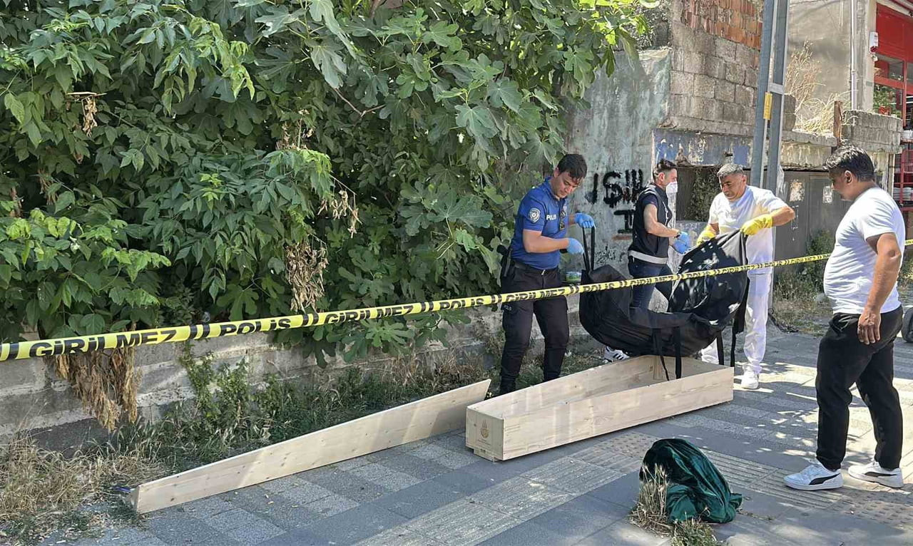 İSTANBUL'UN SARIYER İLÇESİNDE KAYBOLAN KEDİSİNİ ARAMAK İÇİN BİNAYA GİREN BİR VATANDAŞ, ERKEK...