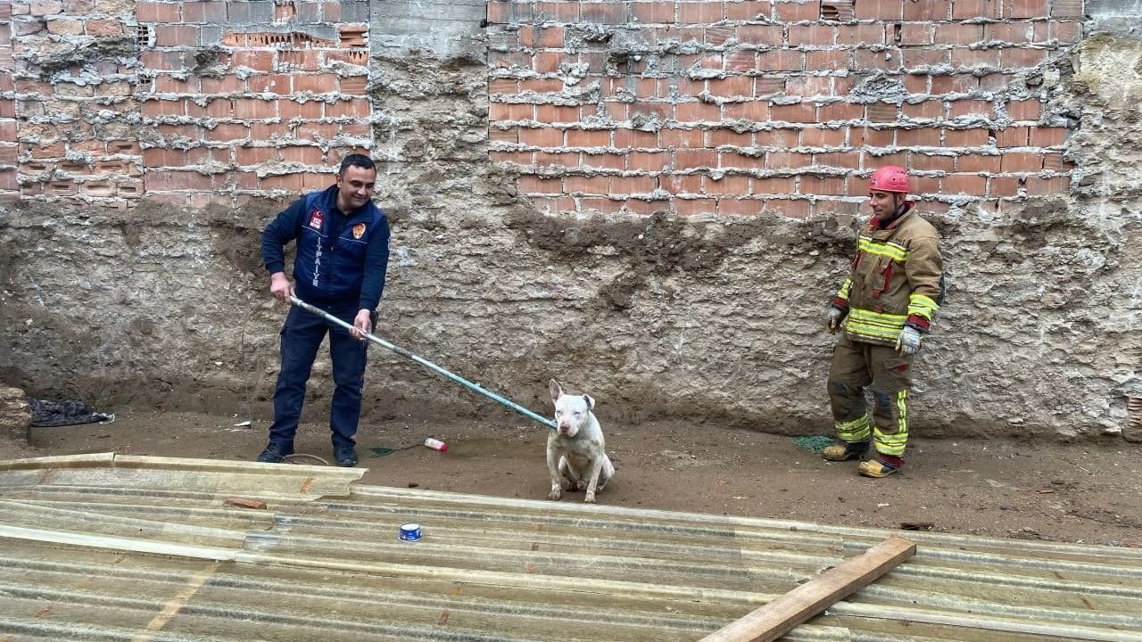 İtfaiye Ekipleri Kapalı Çukurda Sıkışan Köpeği Kurtardı