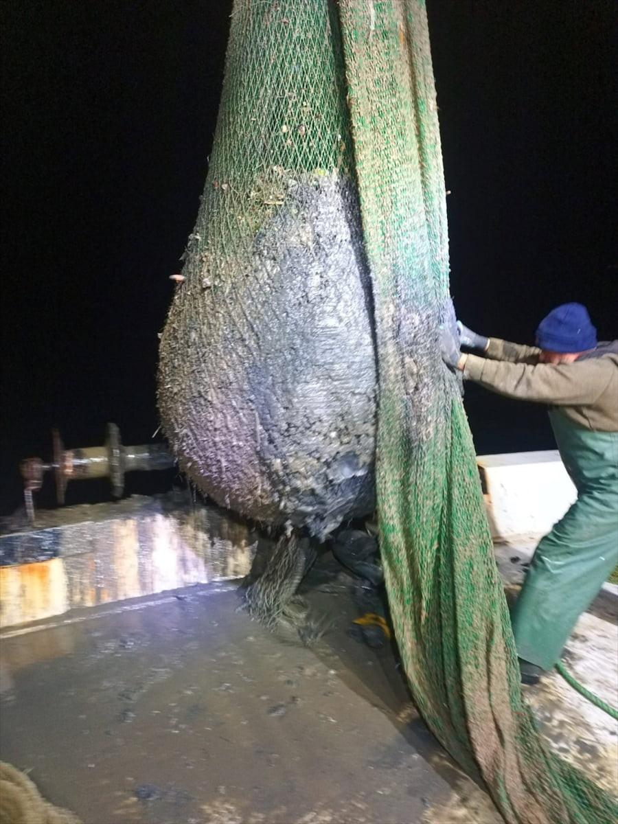 İzmir Körfezi'nden çıkarılan dip çamurunun Foça ve Karaburun açıklarında belirlenen koordinatlar...