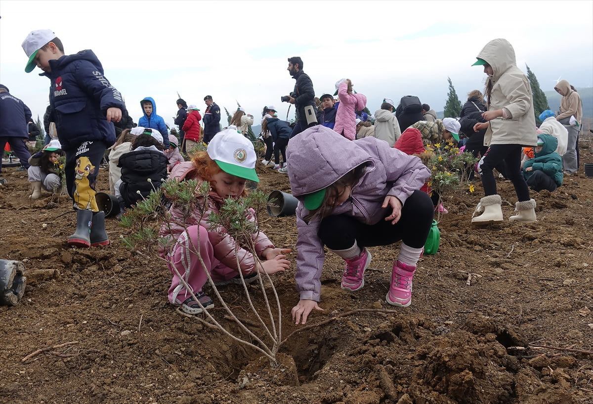 İzmir'de 21 Mart Dünya Ormancılık Günü ve Orman Haftası dolayısıyla 100 bin fidan dikildi. Orman...