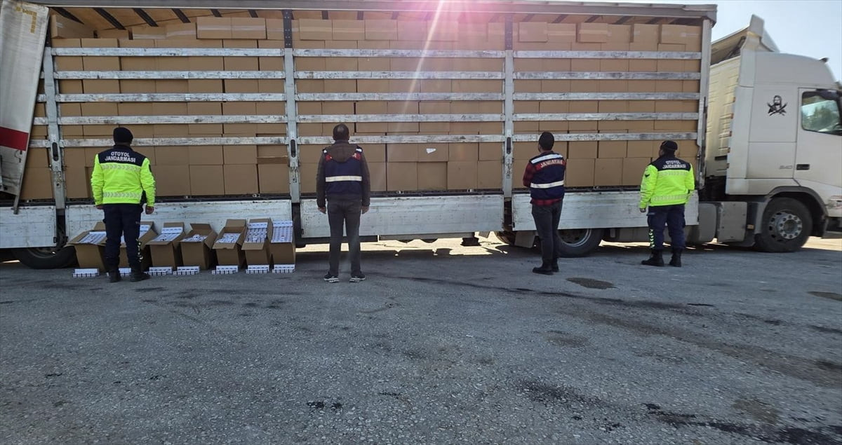 İzmir'de jandarmanın düzenlediği operasyonda 500 bin paket kaçak sigara ele geçirildi, gözaltına...