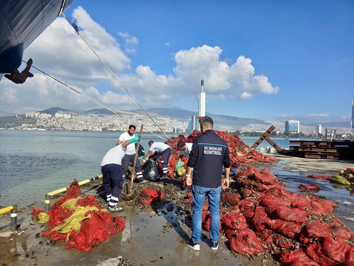 İzmir'de yapılan denetimlerde kaçak olduğu değerlendirilen 27 ton midye yeniden denize...