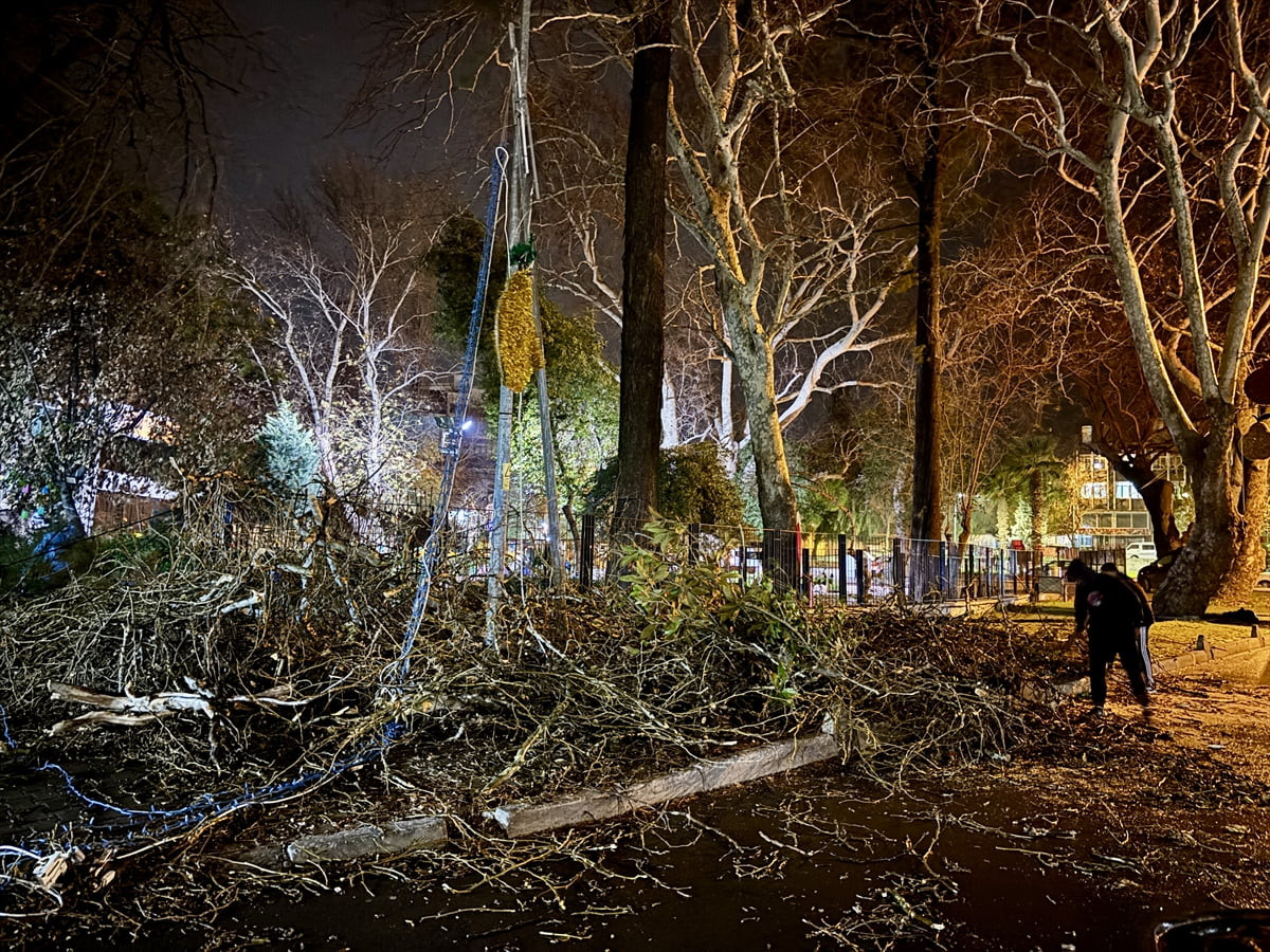 İzmir'in Bornova ilçesinde, şiddetli rüzgarın etkisiyle park halindeki bir otomobilin ve...