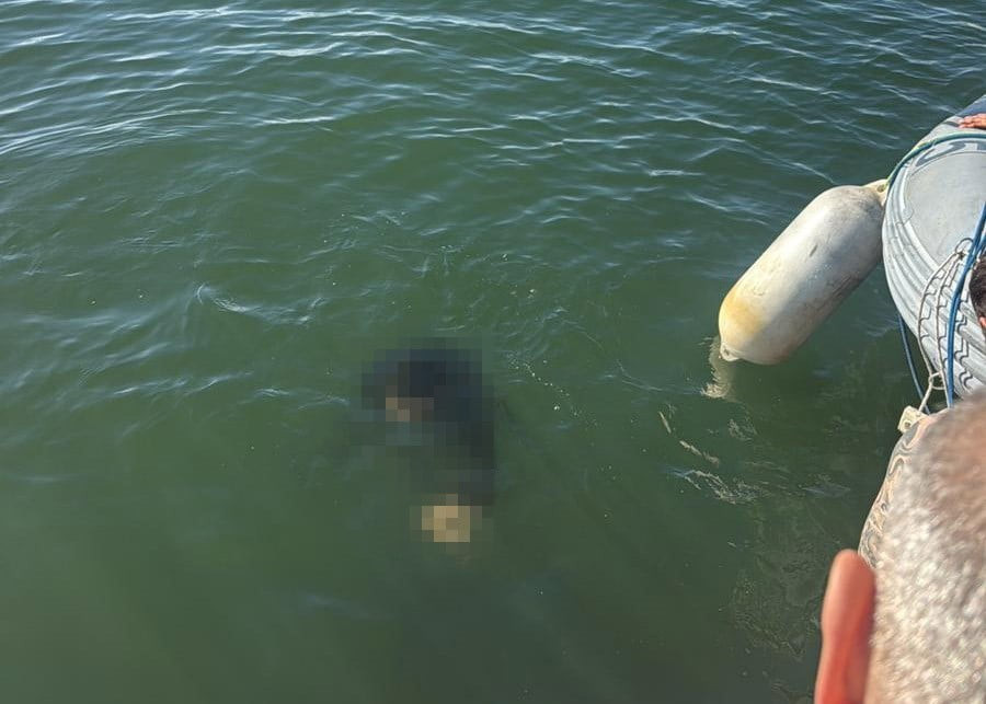 İZMİR'İN KONAK İLÇESİNDE AKÜLÜ TEKERLEKLİ SANDALYESİYLE DENİZE DÜŞEN ENGELLİ BİR KİŞİ, SUDAN...