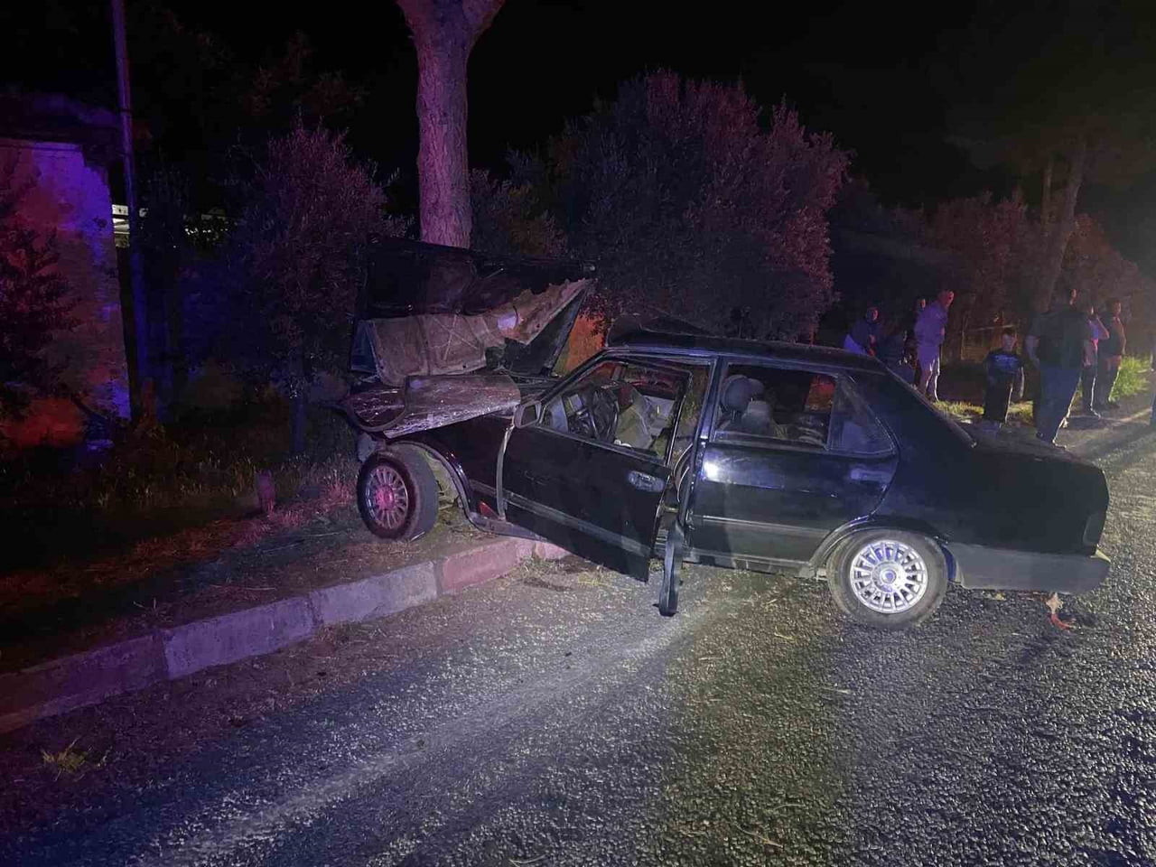 İZMİR'İN ÖDEMİŞ İLÇESİNDE, ÖNÜNE ÇIKAN SOKAK KÖPEĞİNE ÇARPMAMAK İÇİN MANEVRA YAPAN OTOMOBİLİN YOL...