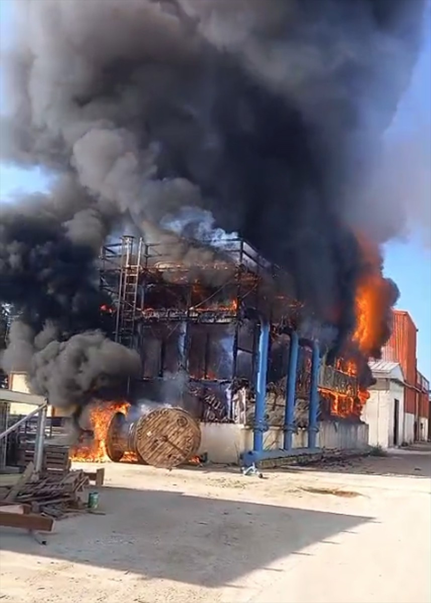 İzmir'in Ödemiş ilçesinde salça fabrikasında çıkan yangın zarara neden oldu. İşçilerin ihbarı...