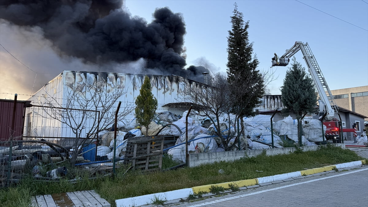 İzmir'in Tire ilçesindeki Organize Sanayi Bölgesi'ndeki atık geri kazanım deposunda çıkan yangın...