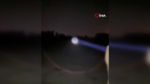 İzmir’de ayı saldırısına uğrayan yaşlı adam hayatını kaybetti