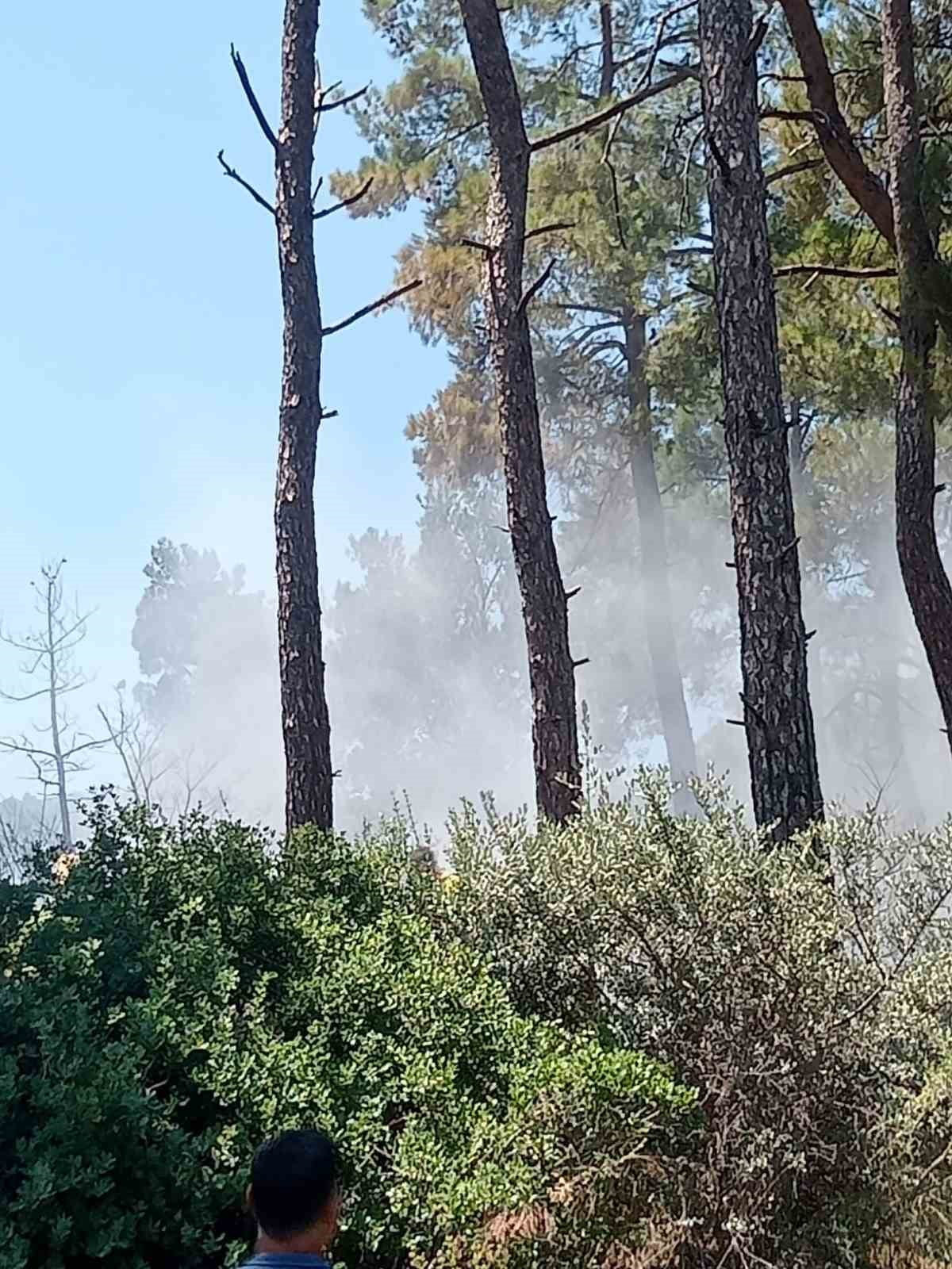 İZMİR’İN BAYINDIR İLÇESİNE BAĞLI KIZILOBA MAHALLESİ’NDE ÇIKAN ORMAN YANGINI, EKİPLERİN HAVADAN VE...