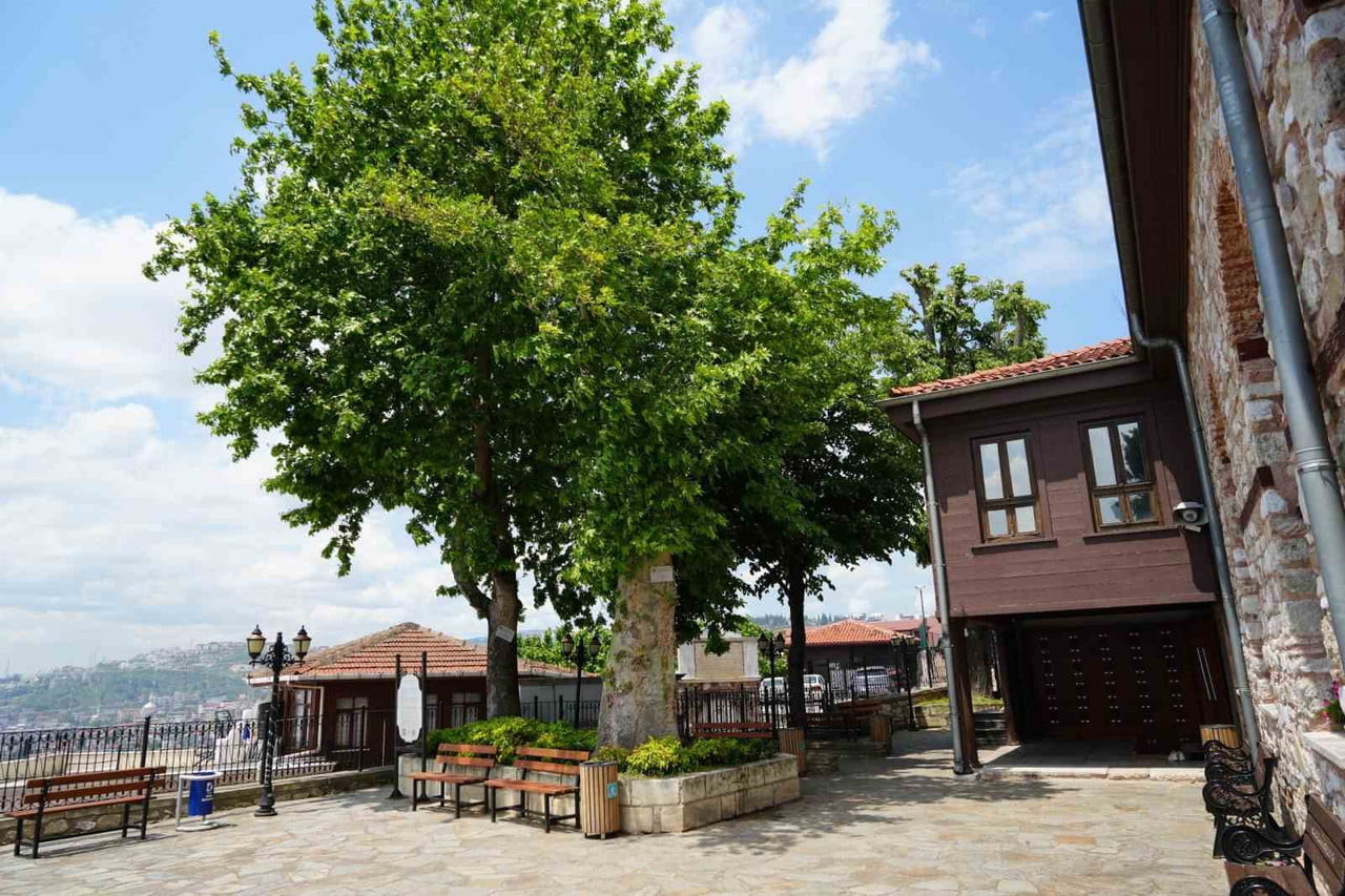 . İZMİT KÖRFEZİ MANZARALI TARİHİ CAMİNİN BAHÇESİNİ GÖLGELENDİREN ASIRLIK ÇINARA, CAMİ CEMAATİ...