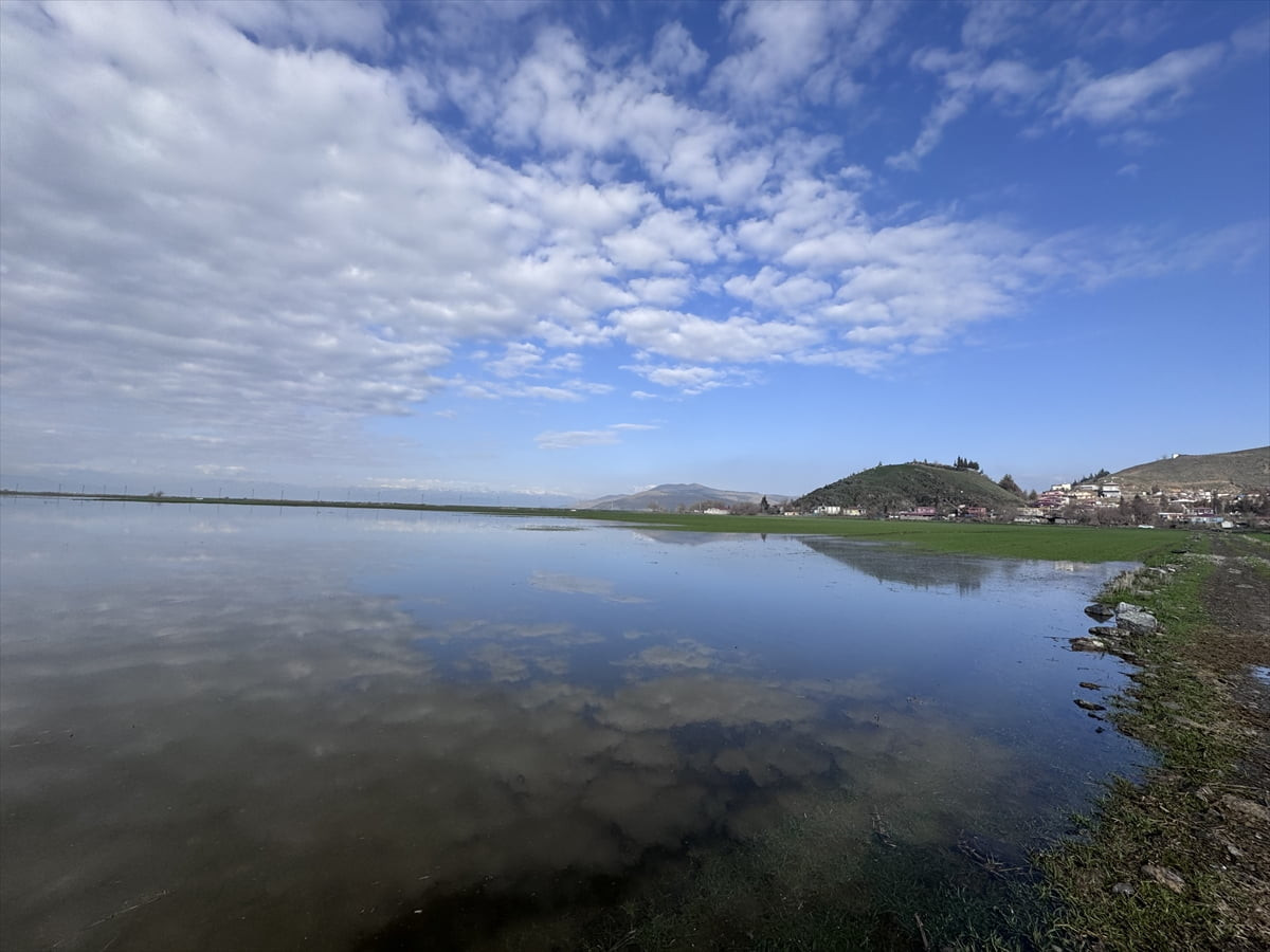 Kahramanmaraş'ın Türkoğlu ilçesinde bir haftadır etkili olan yağmur nedeniyle tarım arazileri su...
