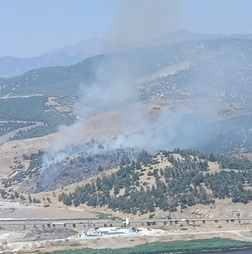KAHRAMANMARAŞ'TA MAKİLİK ALANDA ÇIKAN YANGIN EKİPLERİN MÜDAHALESİ İLE SÖNDÜRÜLDÜ