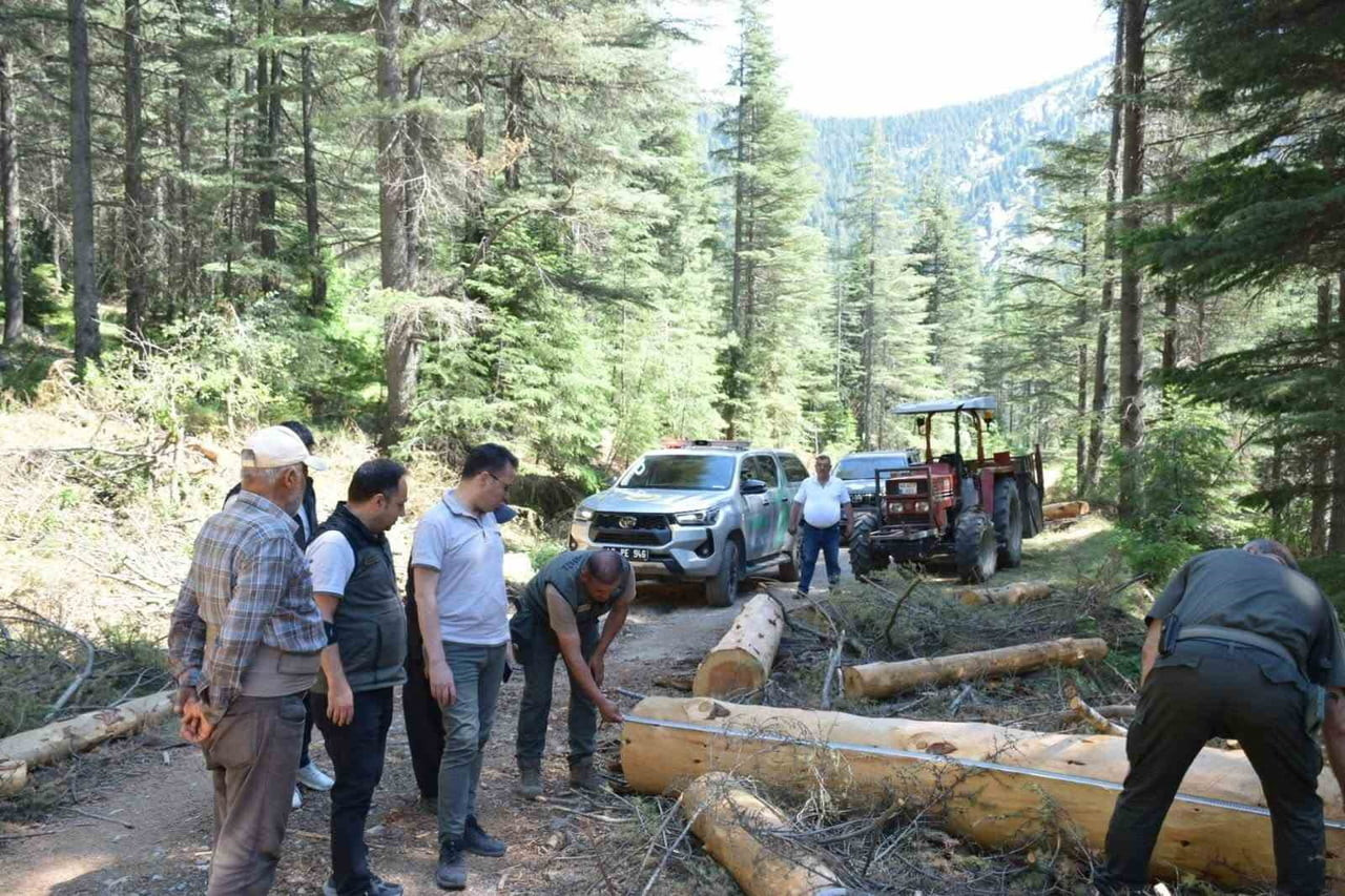 KAHRAMANMARAŞ'TA ORMAN YANGINLARINA KARŞI ALINAN ÖNLEYİCİ TEDBİRLER KAPSAMINDA YOL KENARLARINDA...