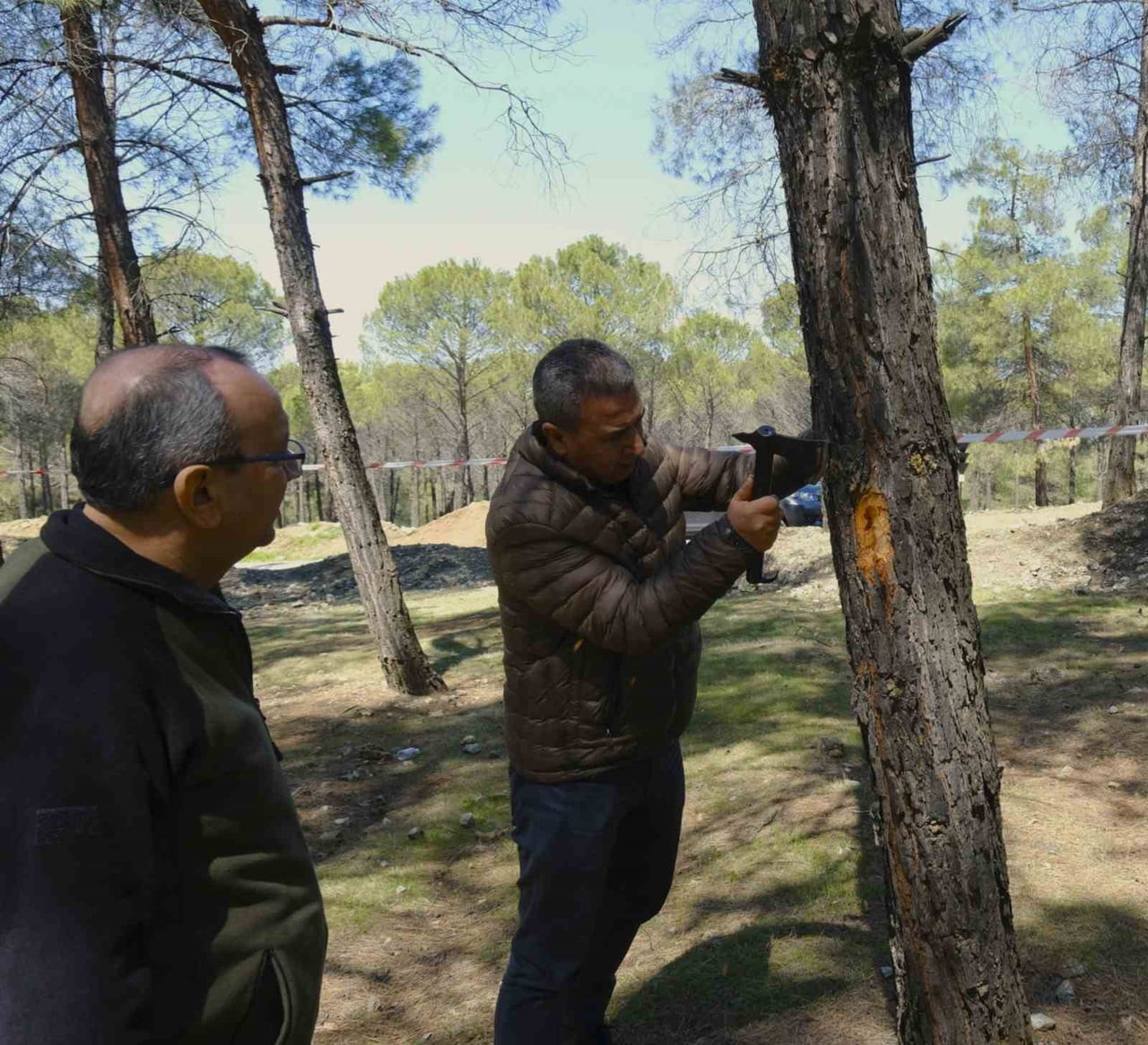 KAHRAMANMARAŞ'TA ORMAN ZARARLILARINA KARŞI MÜCADELE ÇERÇEVESİNDE EKİPLER SAHADA İNCELEMEDE...