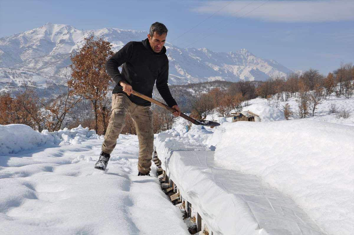 Kaliteli balıyla öne çıkan Bitlis'in Hizan ilçesinde üreticiler, kovanlarını kar altında...