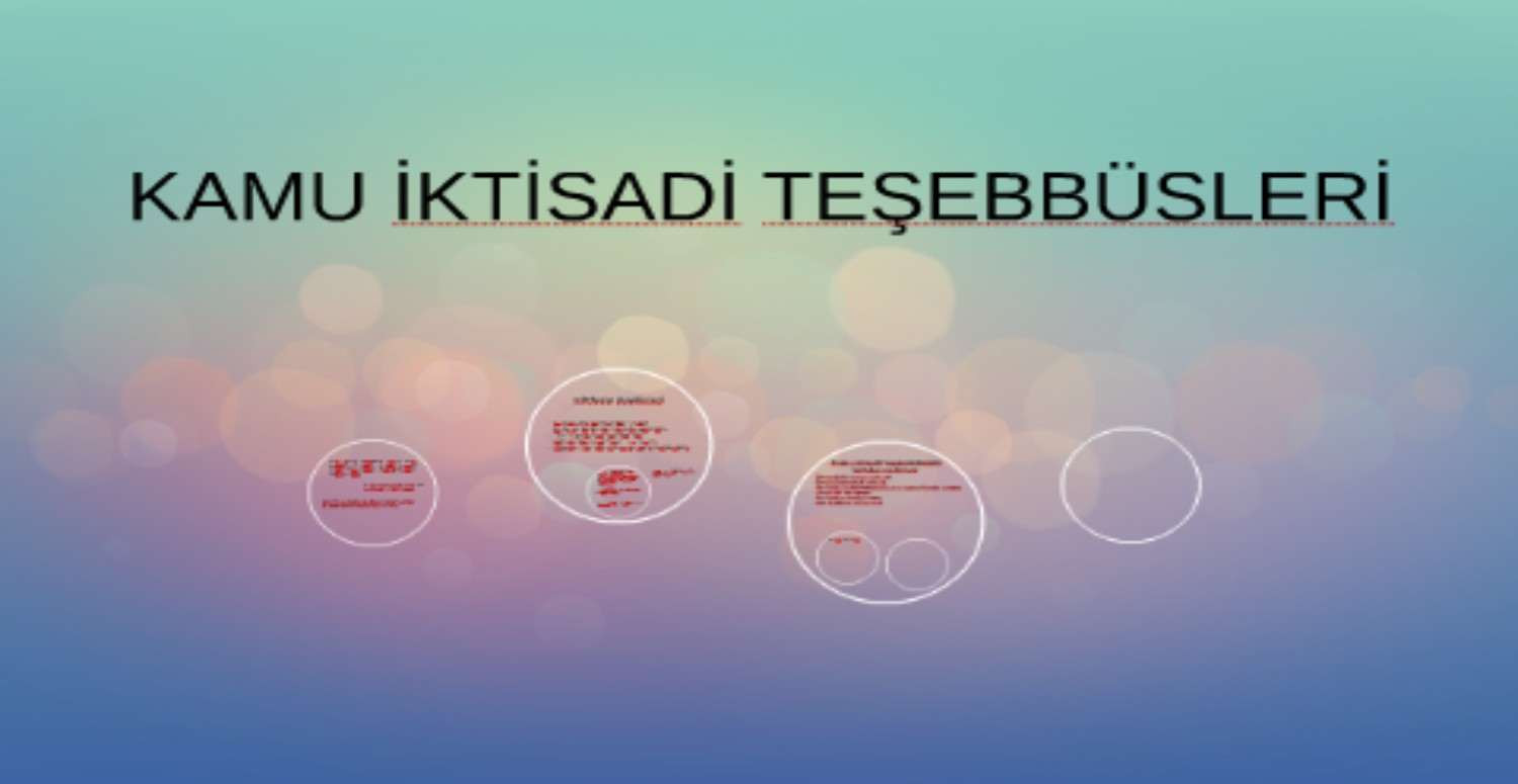 Kamu iktisadi teşebbüs