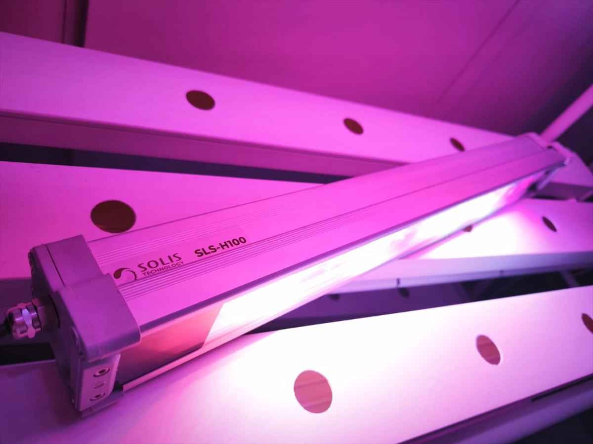 Kapalı tarım alanlarında bitkinin ihtiyacına göre özel ışık sistemleri geliştiren Solis...