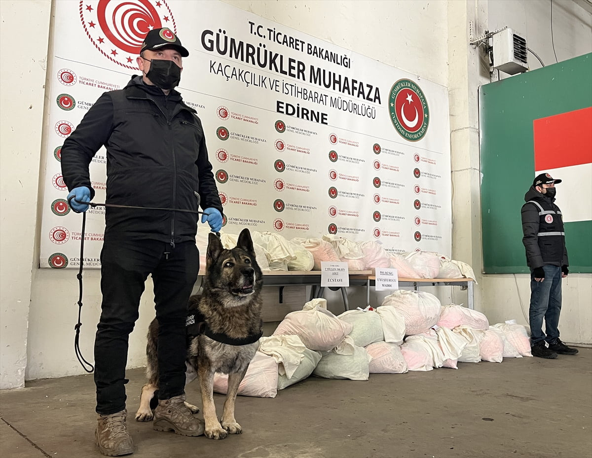 Kapıkule Sınır Kapısı'nda bir tırda çiçek saksılarına gizlenmiş 16 kilo 248 gram esrar ile 2...