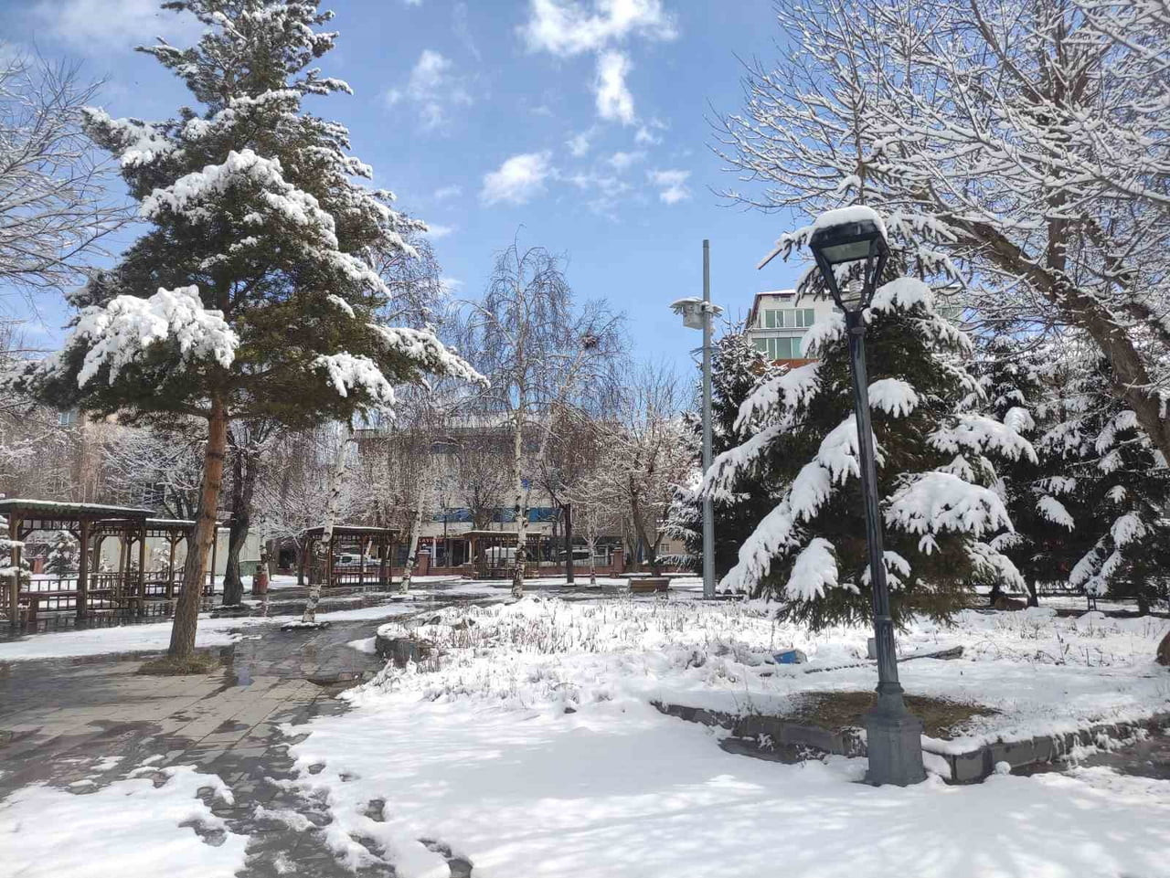 KAR YAĞIŞI SONRASI BEYAZA BÜRÜNEN AĞAÇLAR