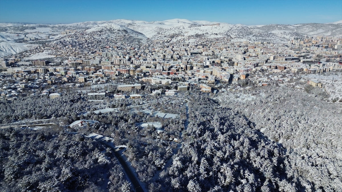 Kar yağışının ardından beyaz örtüyle kaplanan Yozgat Çamlığı Milli Parkı'ndaki çam ağaçları...