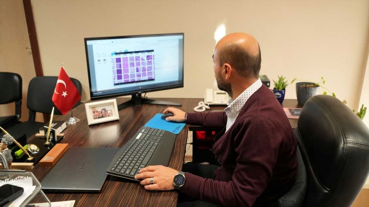 Karabük Üniversitesi'nde (KBÜ) yürütülen proje kapsamında kolon kanserinde tanıların hızlı...