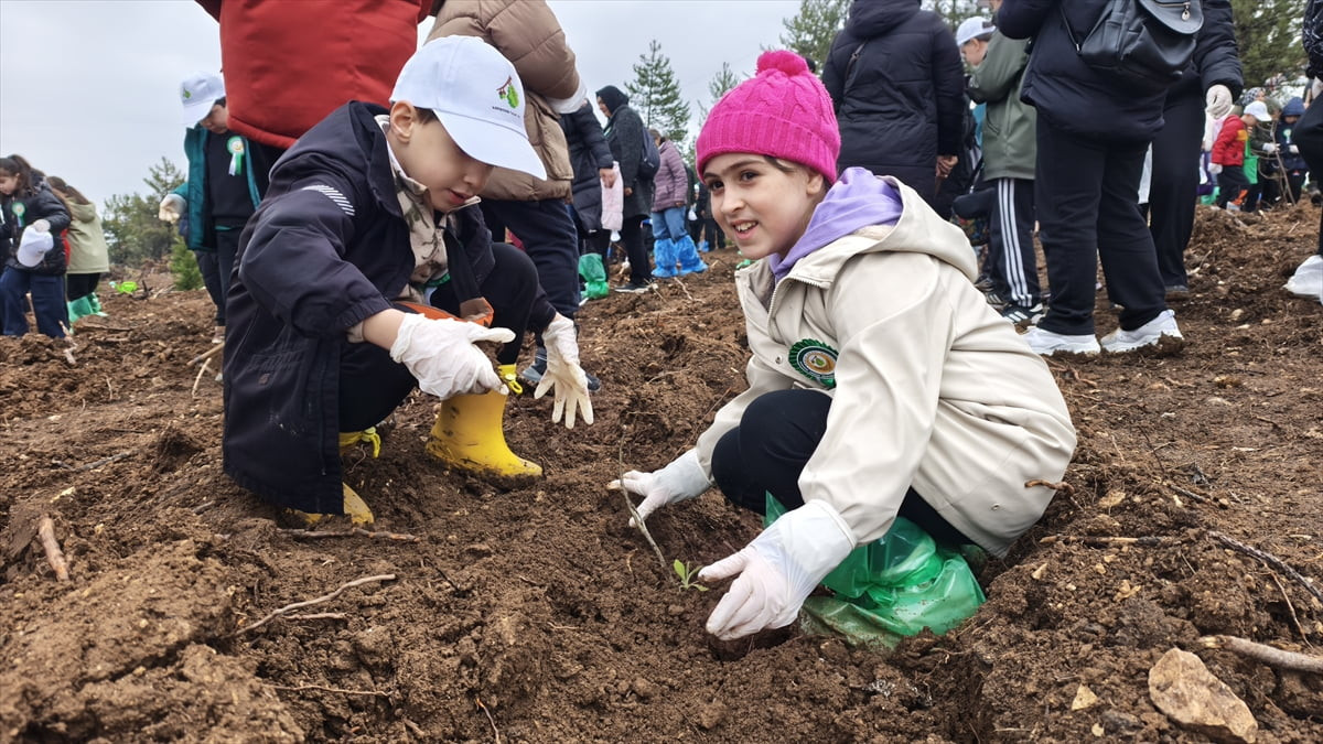 Karabük'te geçen yıl çıkan orman yangınından etkilenen alanda 2 bin 26 fidan toprakla...