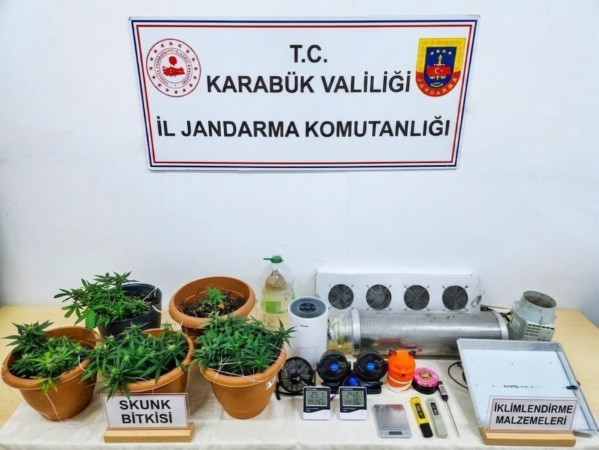 KARABÜK'TE JANDARMA EKİPLERİNCE DÜZENLENEN UYUŞTURUCU OPERASYONLARINDA SKUNK BİTKİSİ, SENTETİK...
