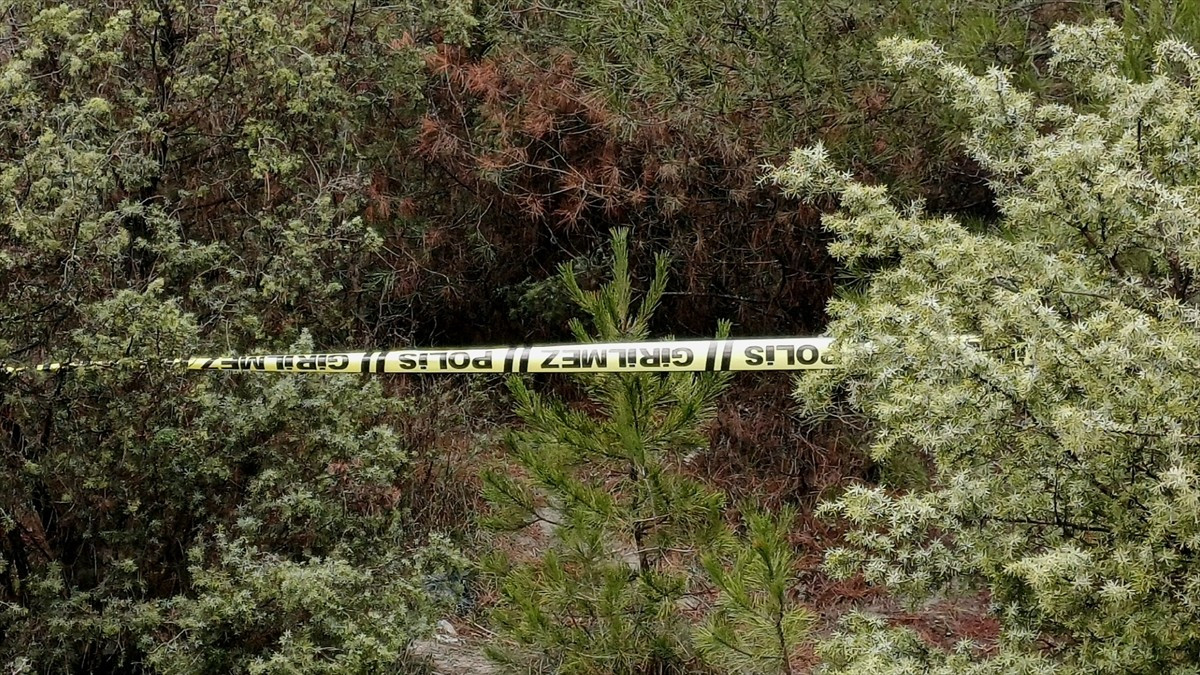 Karabük'te kendisinden haber alınamayan kişinin cansız bedeni ormanlık alanda bulundu.