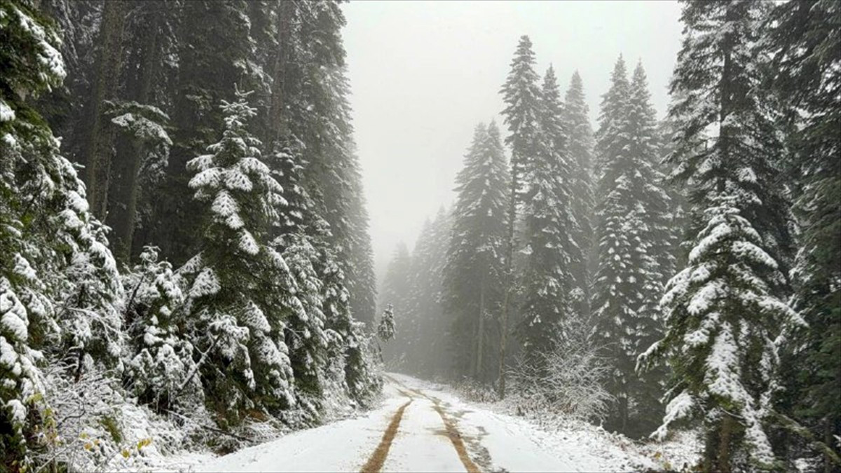 Karabük'te Sarıçiçek Yaylası'na kar yağdı. Safranbolu ilçe merkezine 14 kilometre mesafedeki 1700...