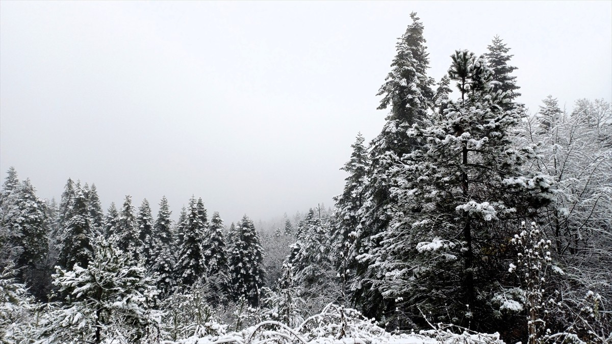 Karabük'ün yüksek bölgelerinde kar yağışı etkisini sürdürüyor.