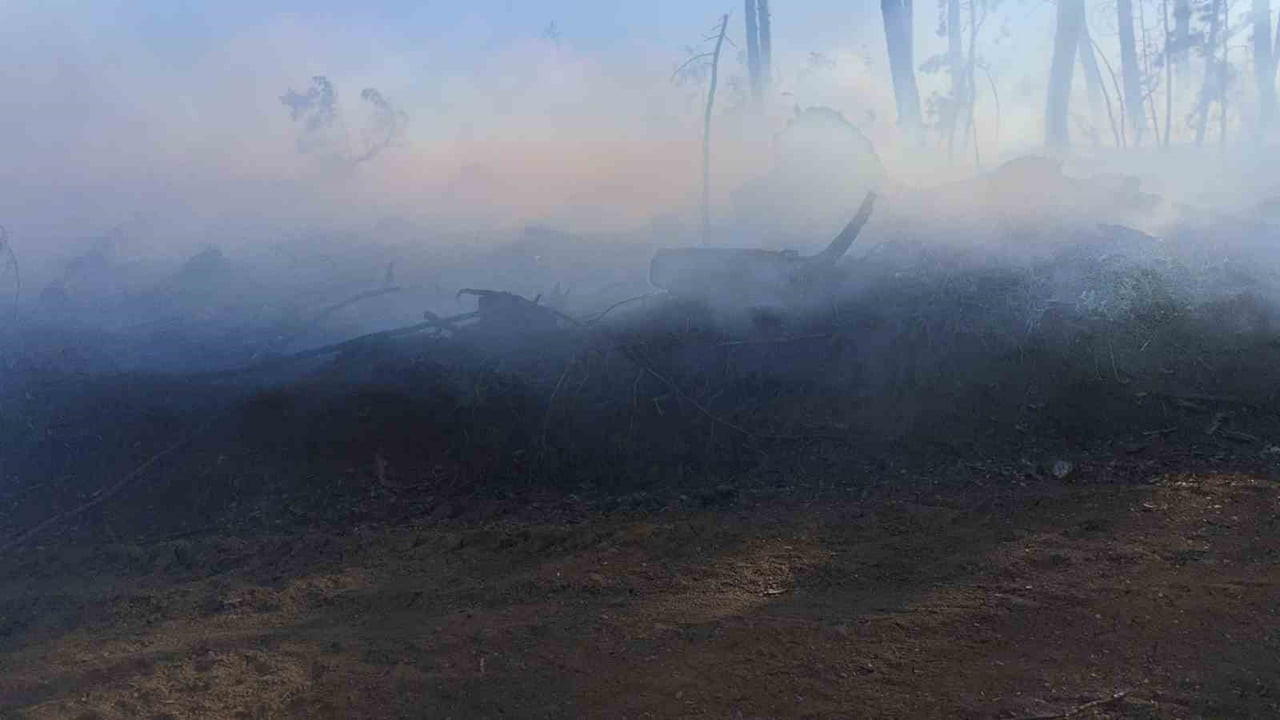 KARABÜK’ÜN OVACIK İLÇESİNDE OTOMOBİLDE ÇIKAN YANGININ ORMANLIK ALANA SIÇRAMASI SONUCU ÇIKAN...