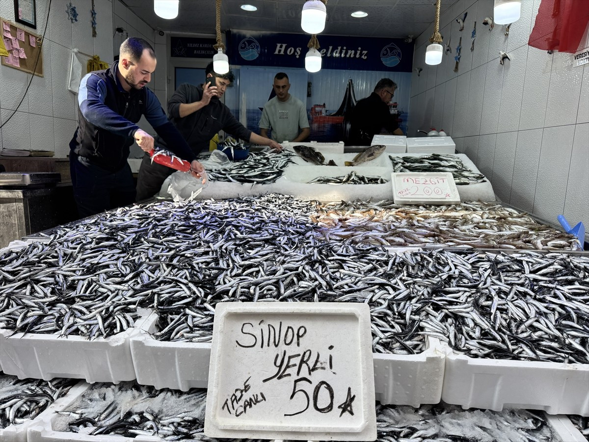 Karadeniz'de bol miktarda avlanan hamsi, Sinop'ta tezgahlarda kilogramı 50 liradan satışa...