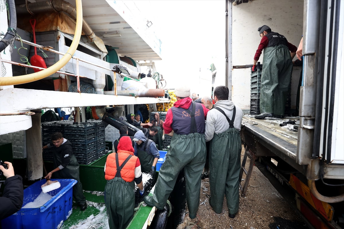 Karadeniz'de hamsinin izini süren balıkçılar rotalarını Kırklareli'nin İğneada açıklarına çevirdi....