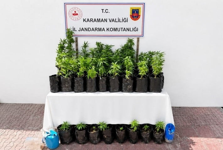 KARAMAN’DA 2 BİN 802 KÖK KENEVİR ELE GEÇİRİLİRKEN, YAKALANAN 140 ŞAHISTAN 13'Ü...