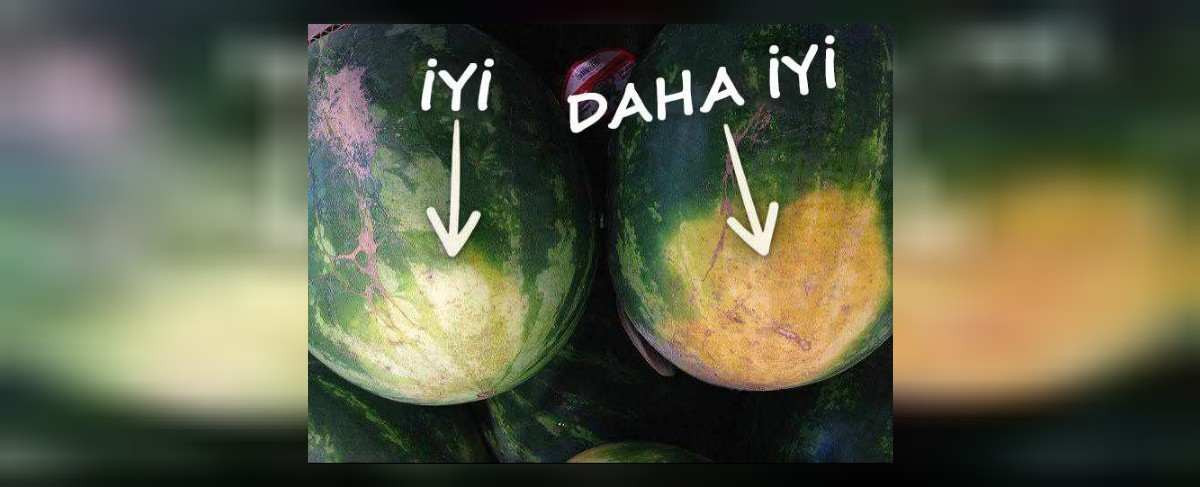 karpuz nasıl seçilir