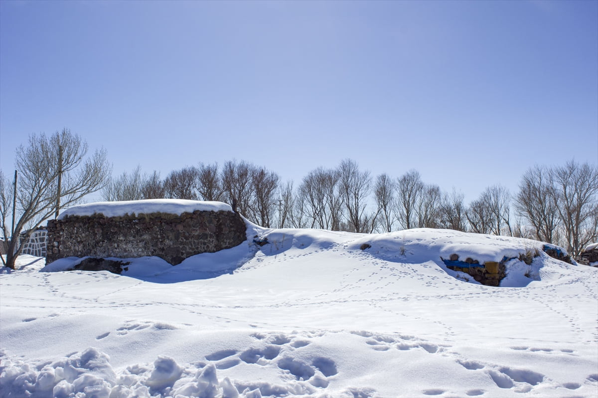 Kars'ın Akyaka ilçesinde kar yağışı etkili oldu. 