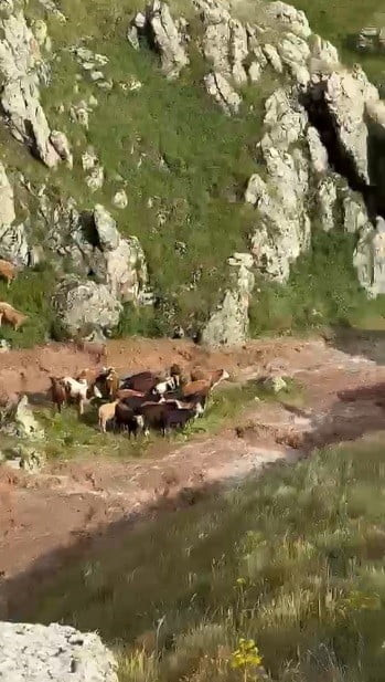 KARS'IN KAĞIZMAN İLÇESİNDE ETKİLİ OLAN SAĞANAK YAĞIŞ, KISA SÜREDE SELE DÖNÜŞEREK GÜNÜNDİ...