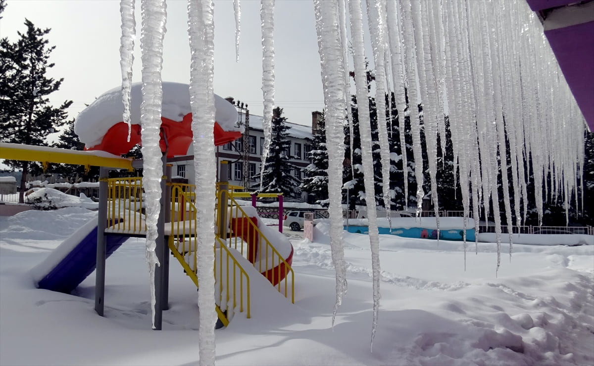 Kars'ın Sarıkamış ilçesinde aralıklarla kar yağışı etkili oldu. Karla birlikte etkili olan soğuk...