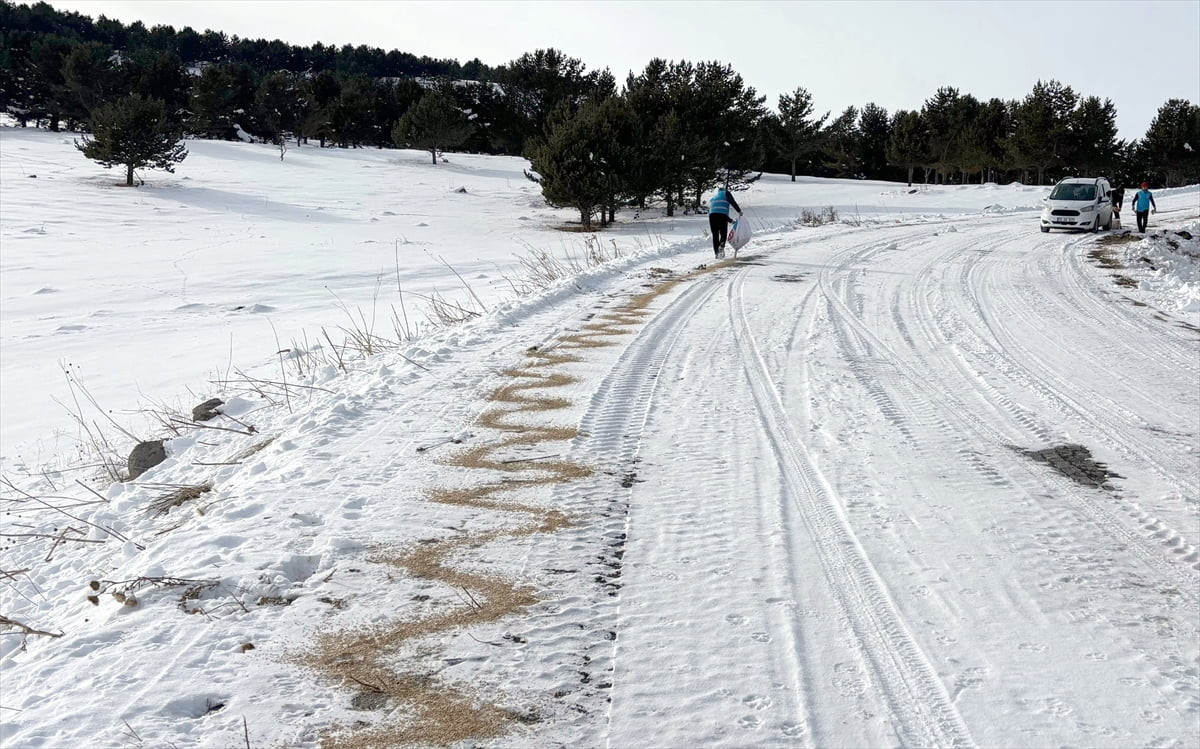 Kars'ın Sarıkamış ilçesinde din görevlileri, karla kaplı 2 bin 600 rakımlı Kızılçubuk bölgesine...