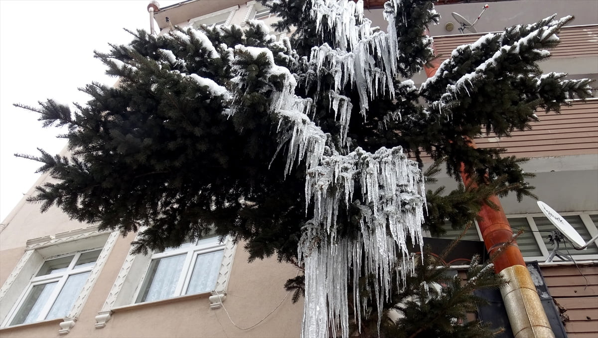 Kars'ın Sarıkamış ilçesinde kar yağışının ardından etkili olan soğuk hava hayatı olumsuz...