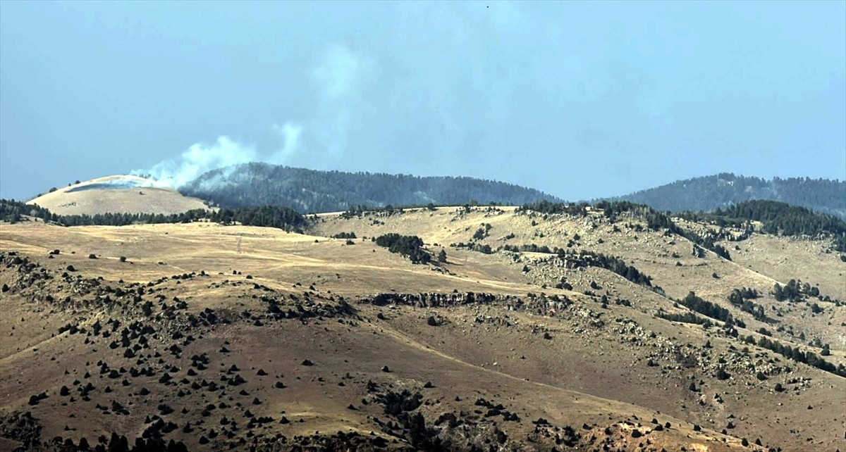 Kars'ın Sarıkamış ilçesinde ormanlık alanda çıkan örtü yangınında yaklaşık 1,5 hektar alan zarar...
