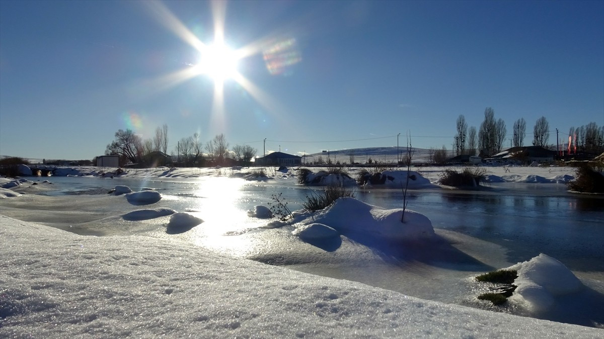 Kars'ın Sarıkamış ilçesinde soğuk hava etkili oluyor. Soğuk hava nedeniyle bitkiler kırağı tuttu...