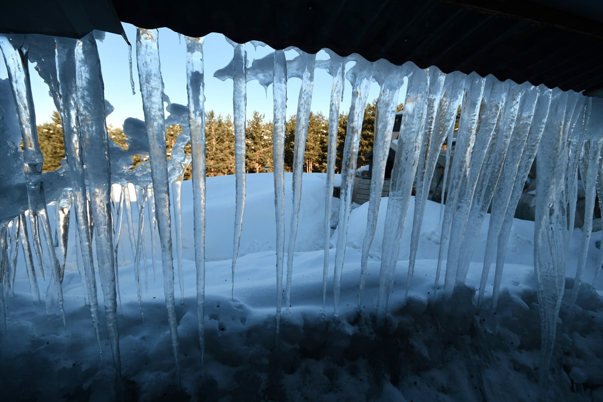 Kars'ın Sarıkamış ilçesinde soğuk hava nedeniyle bina çatılarında uzun buz sarkıtları oluştu....