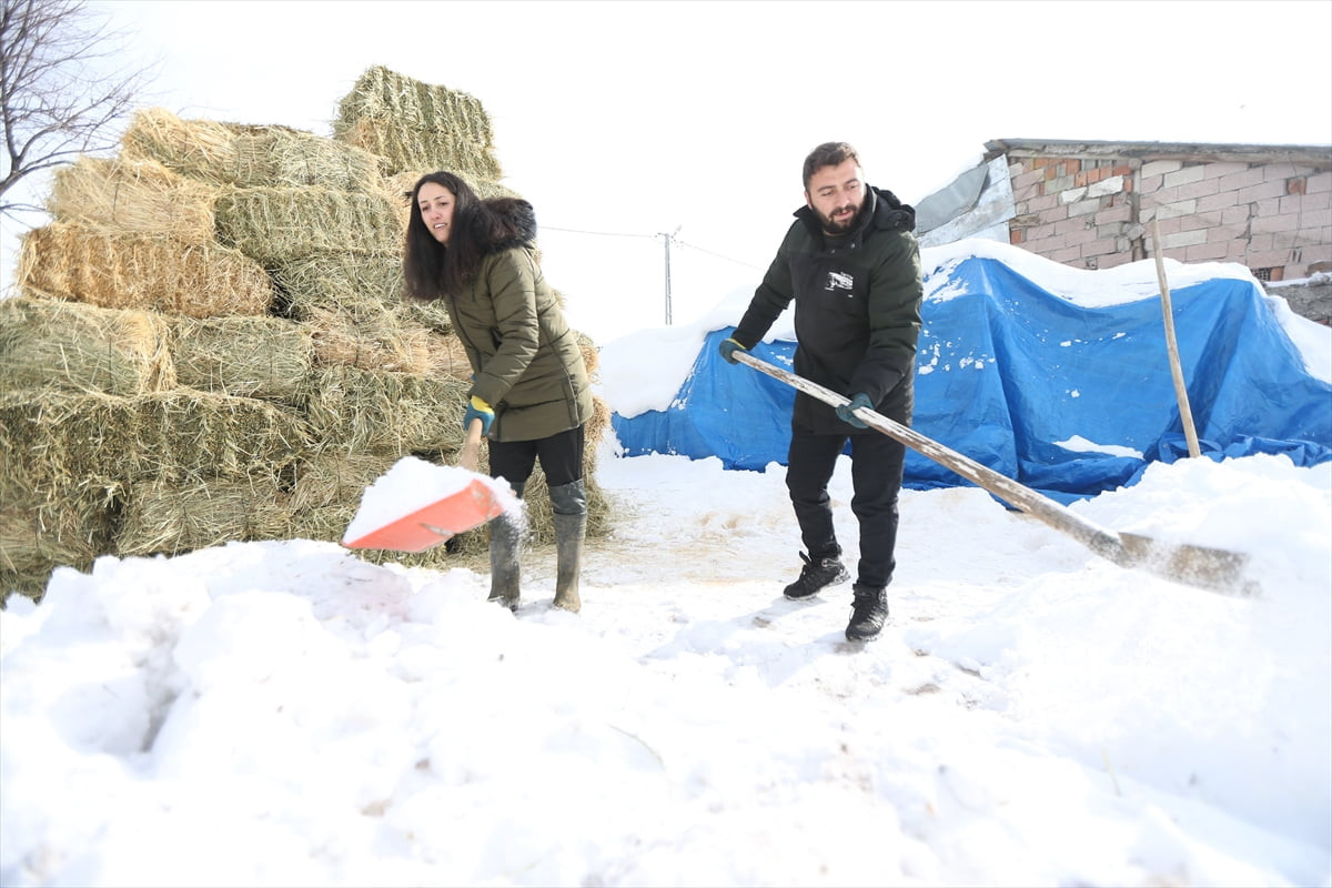 Kars'ın Selim ilçesinde devlet desteğiyle ahır yaptırıp makine ekipman desteği alan girişimci...