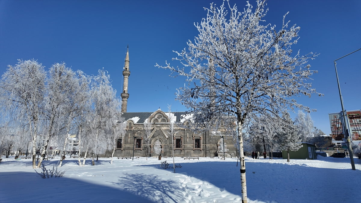 Kars'ta etkili olan soğuk hava nedeniyle kırağı oluştu.