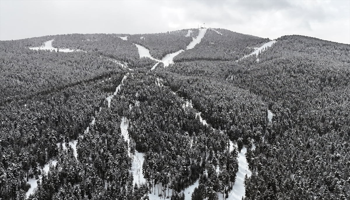 Kars'ta sarıçam ormanları ve kristal karıyla ünlü Sarıkamış Kayak Merkezi'nde martta da hafta sonu...