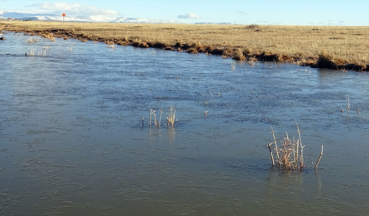 Kars’ın Sarıkamış ilçesinde soğuk hava ve kırağı etkili oldu. Acısu Deresi'nde yer yer buzlanma...