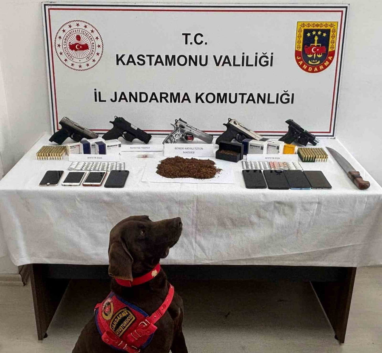 KASTAMONU İL JANDARMA KOMUTANLIĞI EKİPLERİNCE NARKOTİK SUÇLARLA MÜCADELE KAPSAMINDA 8-15 HAZİRAN...